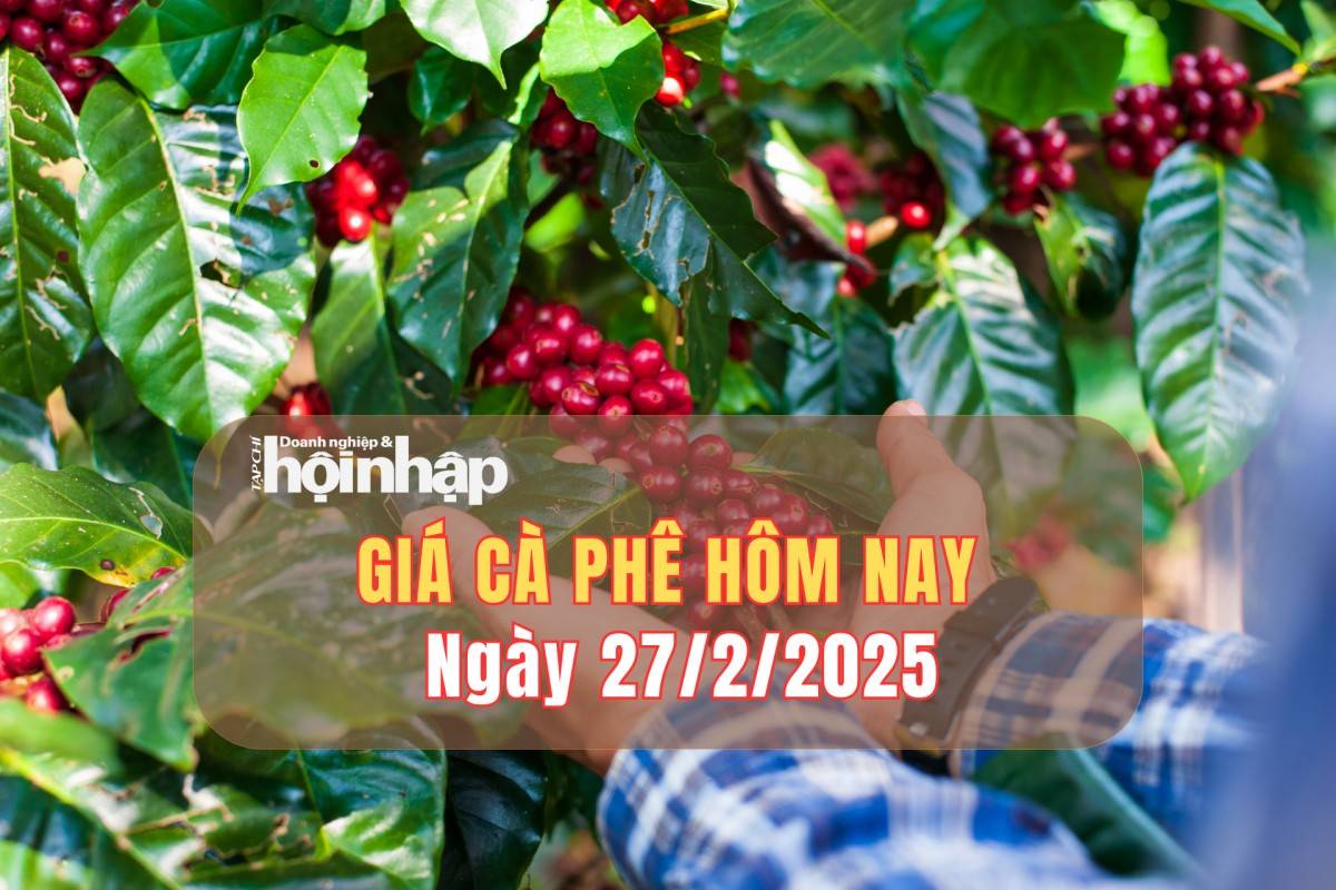 Giá cà phê hôm nay 27/2: Cà phê trong nước giảm mạnh 2.500 đồng/kg