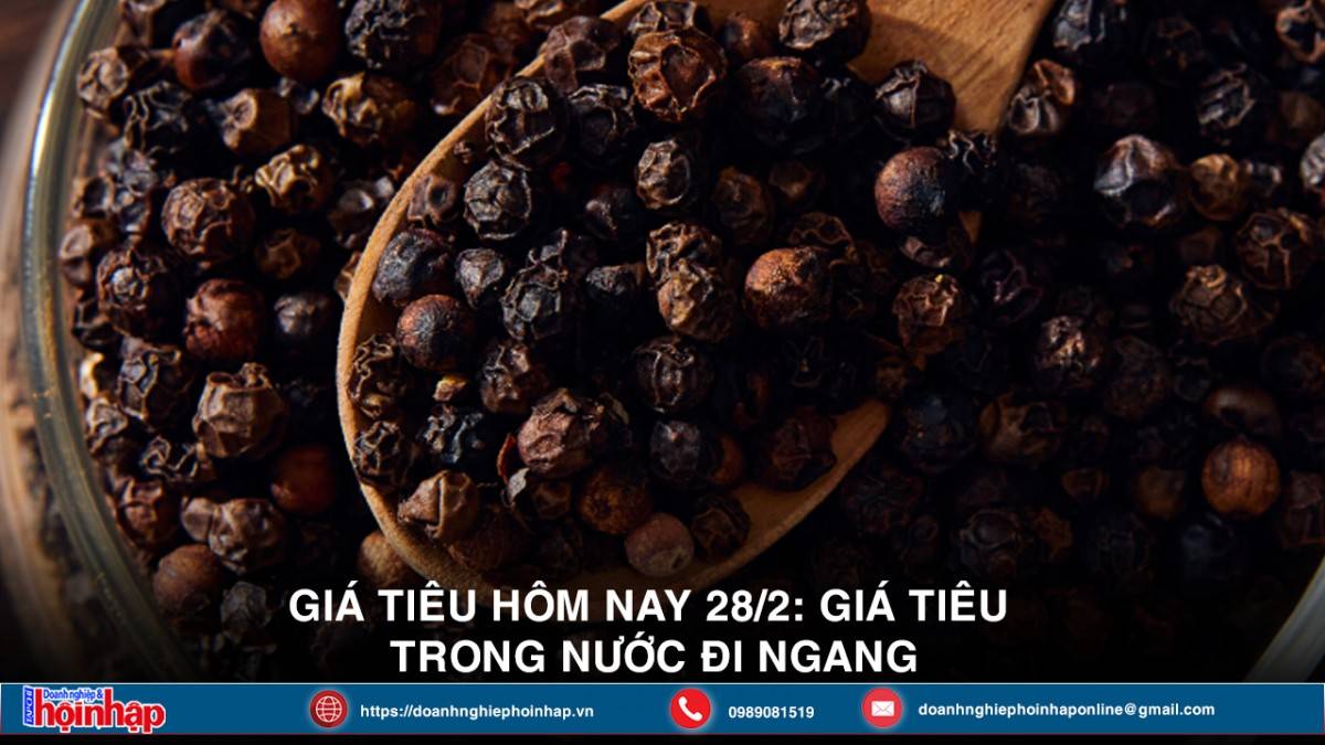 Giá tiêu hôm nay 28/2: Giá tiêu  trong nước đi ngang