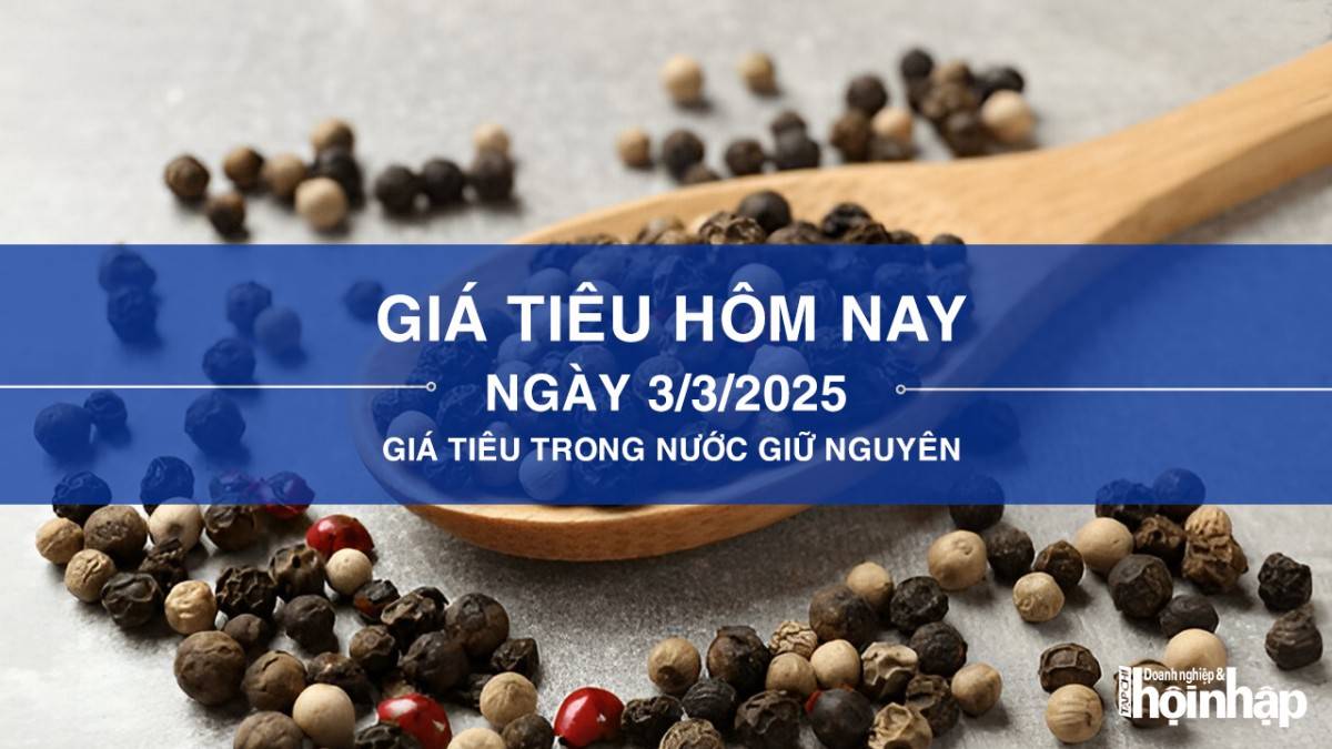 Giá hồ tiêu hôm nay 3/3: Giá tiêu trong nước giữ nguyên