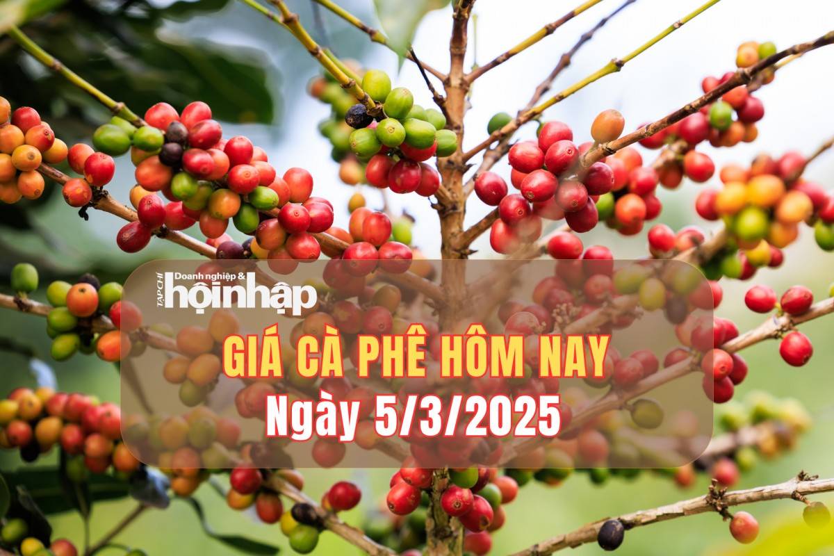 Giá cà phê hôm nay 5/3: Cà phê trong nước tăng từ 2.800 - 3.000 đồng/kg