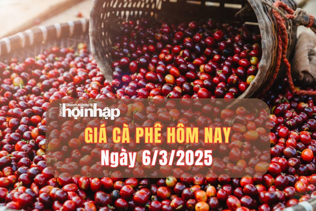 Giá cà phê hôm nay 6/3: Cà phê trong nước tăng mạnh 2.000 - 2.700 đồng/kg