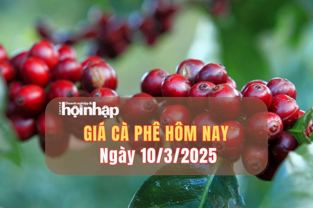 Giá cà phê hôm nay 10/3: Cà phê trong nước tuần qua tăng từ 100 - 1.500 đồng/kg