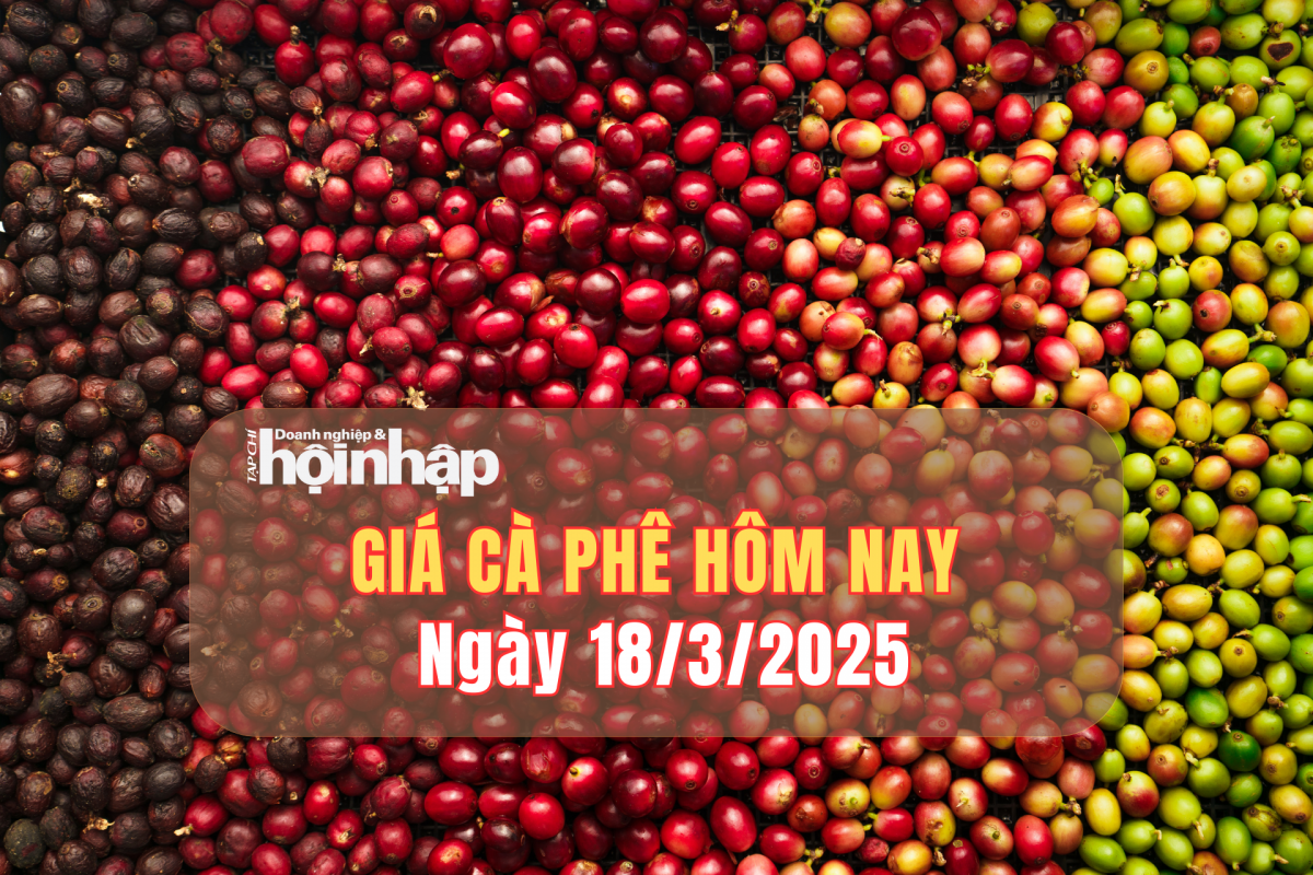 Giá cà phê hôm nay 18/3: Cà phê trong nước tăng từ 700 – 1.000 đồng/kg