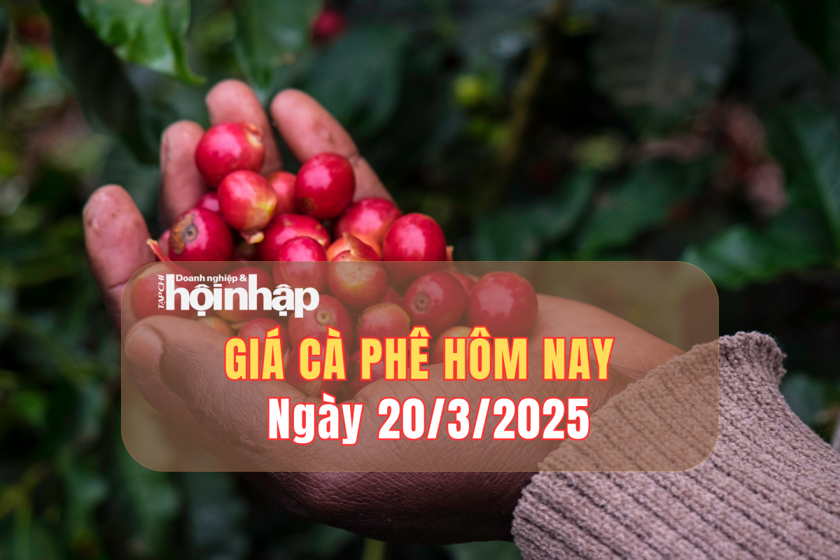 Giá cà phê hôm nay 20/3: Cà phê trong nước giao dịch ở mức 132.700 - 134.000 đồng/kg