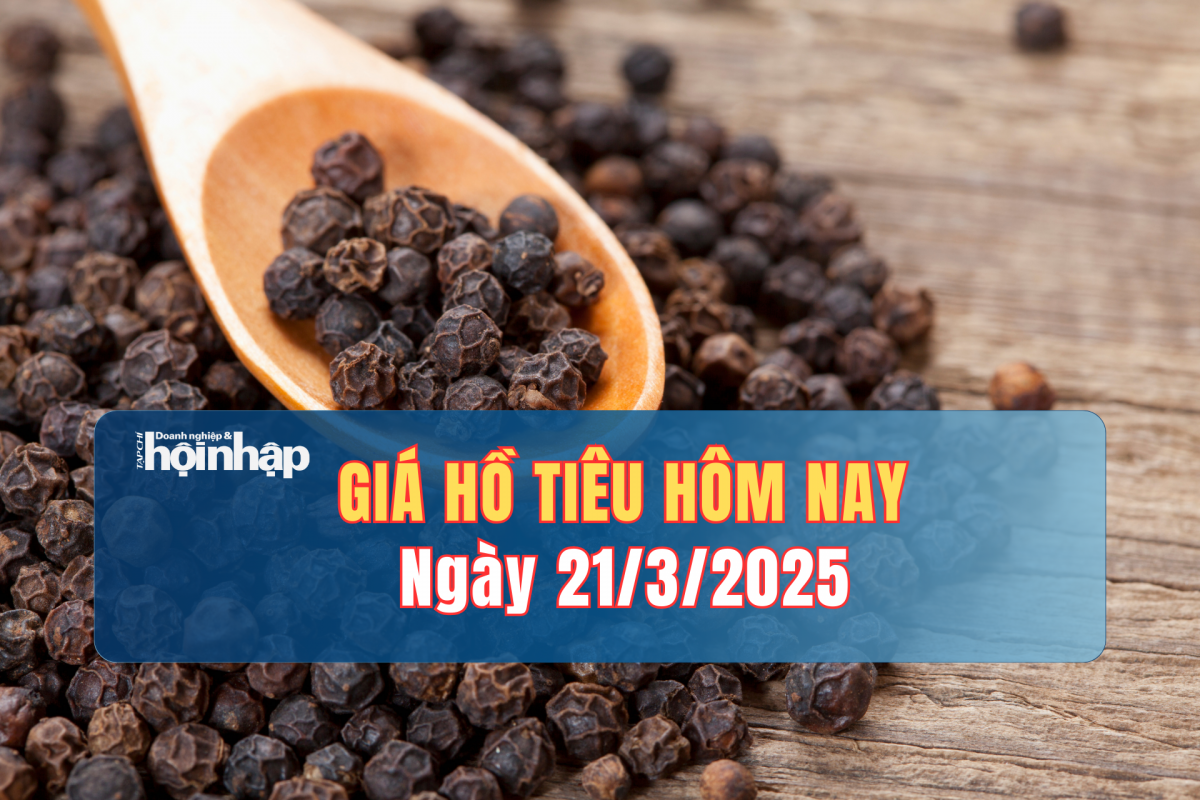 Giá tiêu hôm nay 21/3: Giá tiêu trong nước tăng nhẹ 500 đồng/kg