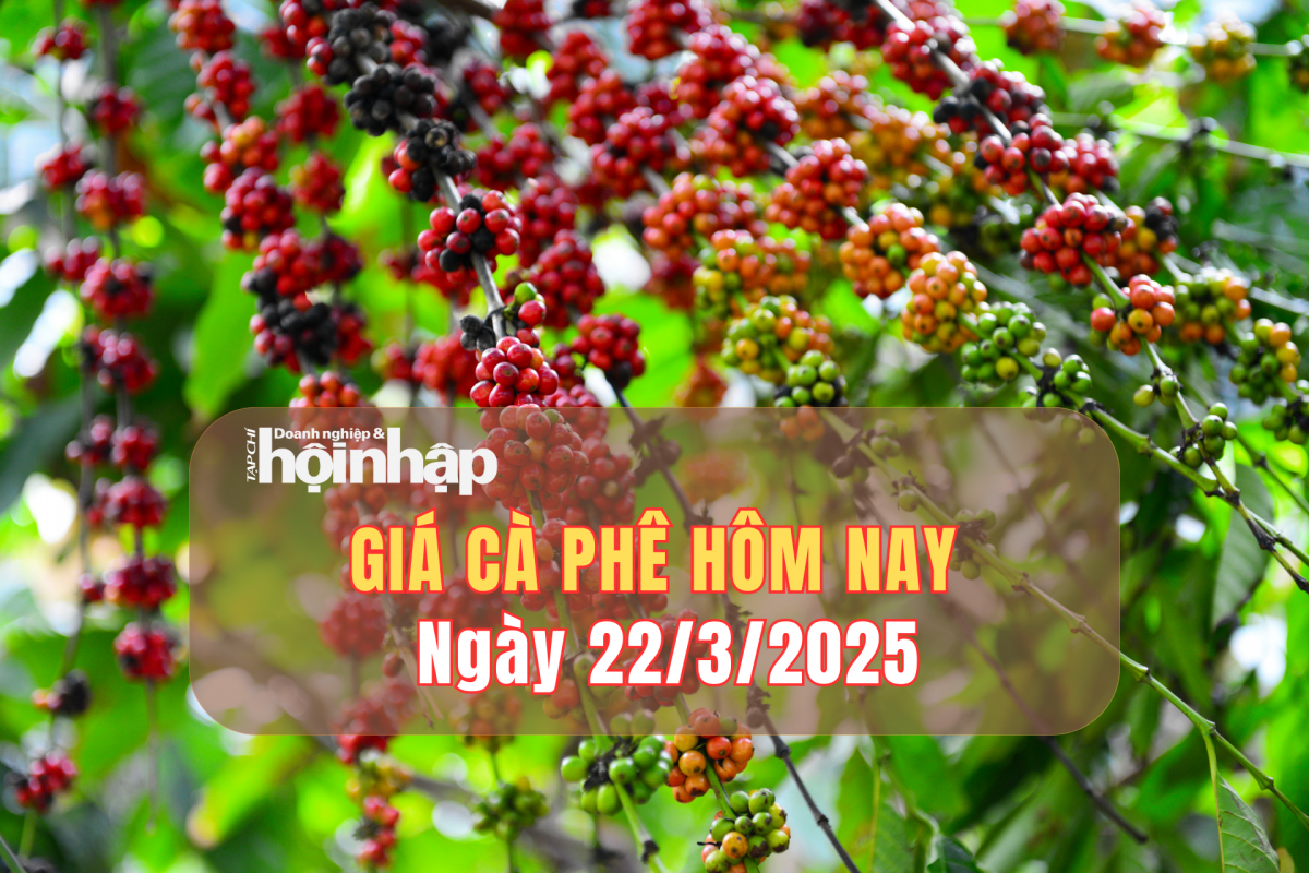 Giá cà phê hôm nay 22/3: Cà phê trong nước giảm 1.000 - 1.500 đồng/kg