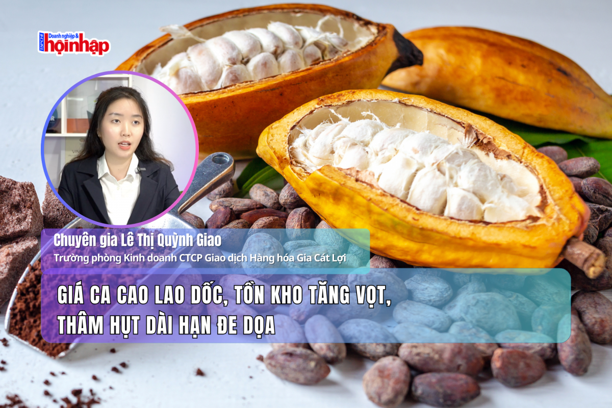 Giá ca cao lao dốc, tồn kho tăng vọt, thâm hụt dài hạn đe dọa