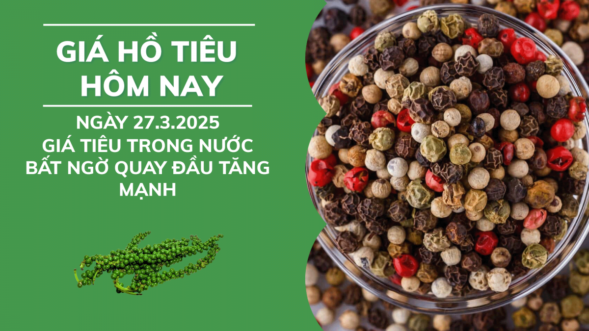 Giá hồ tiêu hôm nay 27/3: Giá tiêu trong nước trong nước bất ngờ quay đầu tăng mạnh