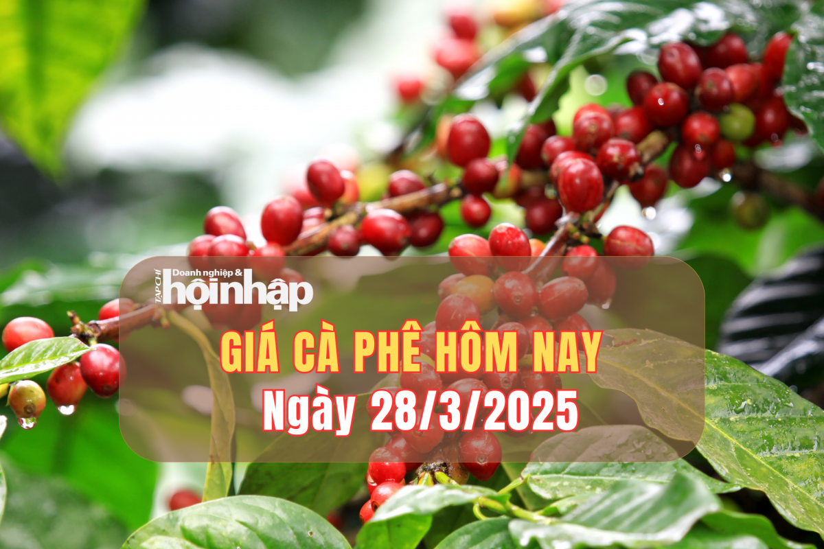 Giá cà phê hôm nay 28/3: Giá cà phê trong nước giảm 2.000 đồng/kg