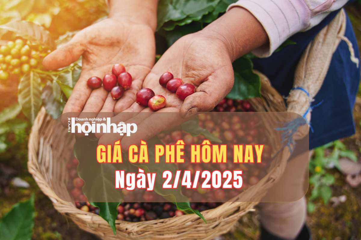 Giá cà phê hôm nay 2/4: Giá cà phê trong nước giảm nhẹ 600 - 800 đồng/kg