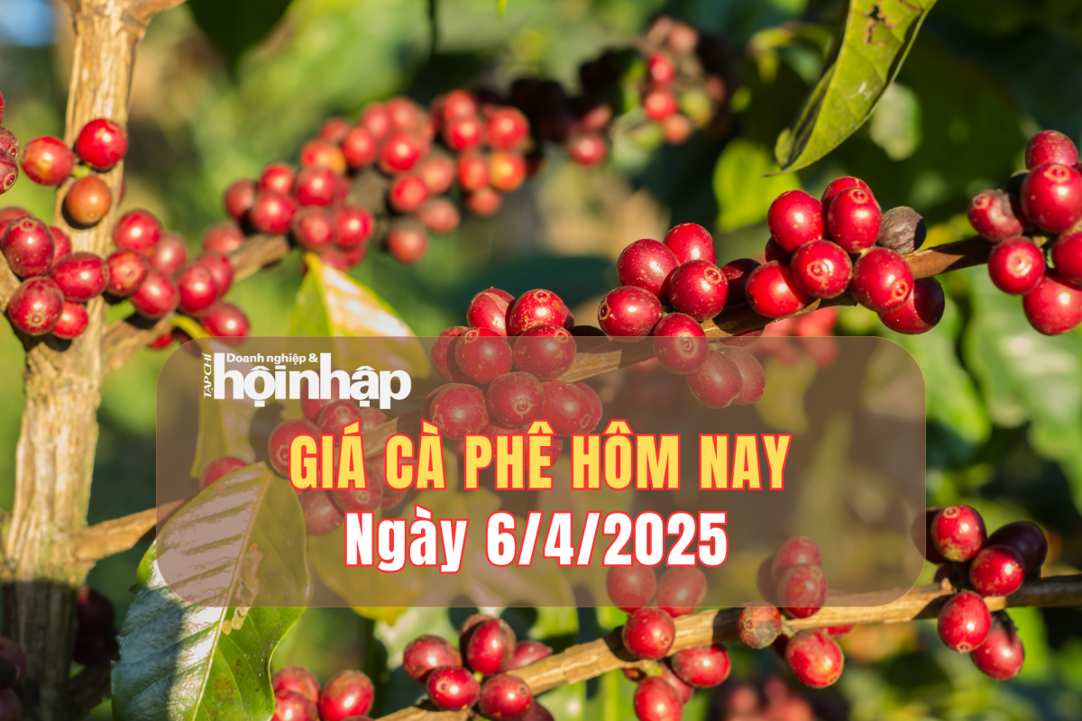 Giá cà phê hôm nay 6/4: Giá cà phê trong nước giảm 3.800 - 4.200 đồng/kg