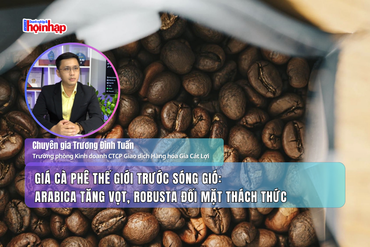 Giá cà phê thế giới trước sóng gió: Arabica tăng vọt, Robusta đối mặt thách thức