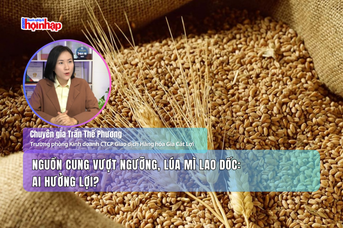 Nguồn cung vượt ngưỡng, lúa mì lao dốc: Ai hưởng lợi?