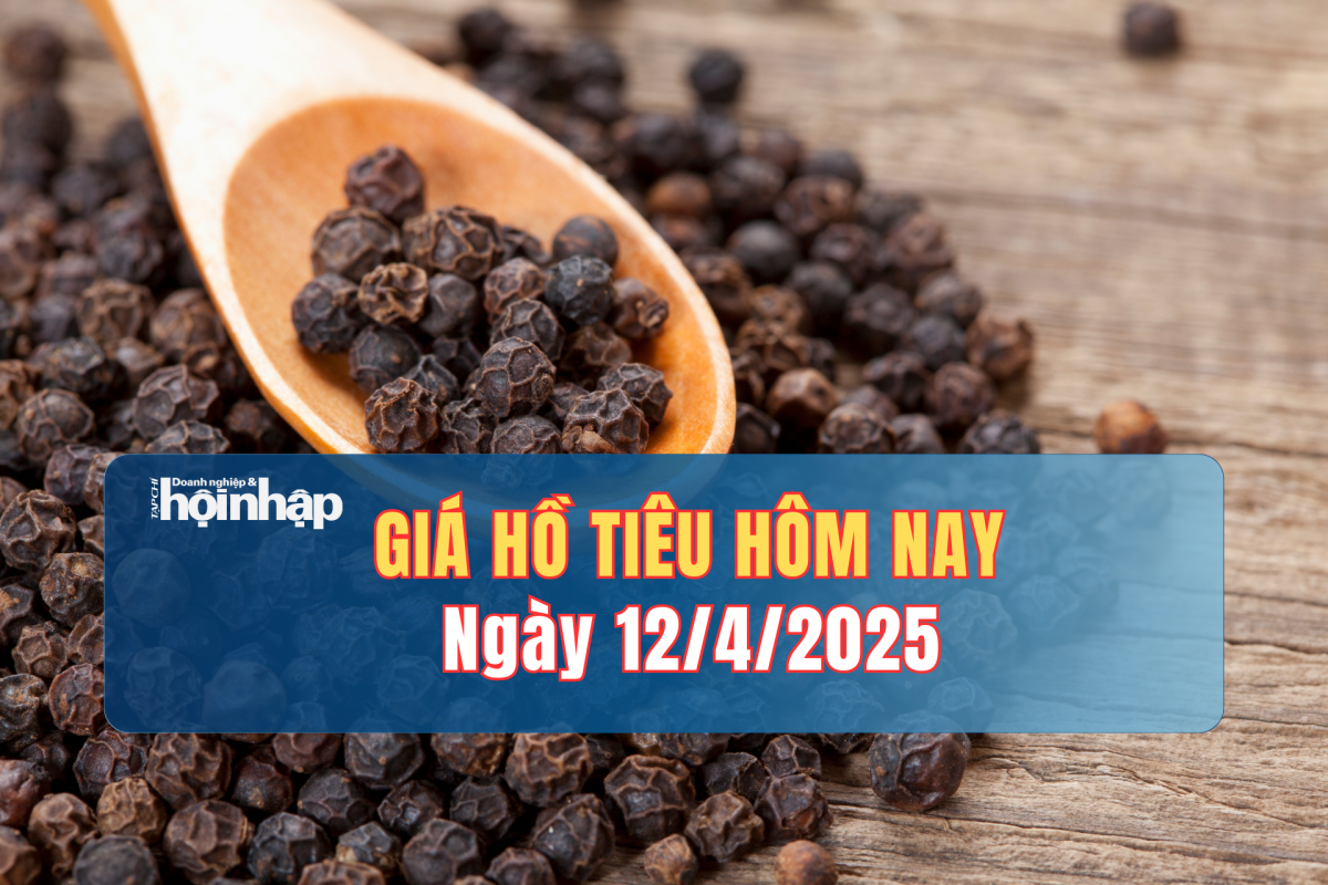 Giá tiêu hôm nay 12/4: Giá hồ tiêu trong nước tăng 4.000 - 5.000 đồng/kg