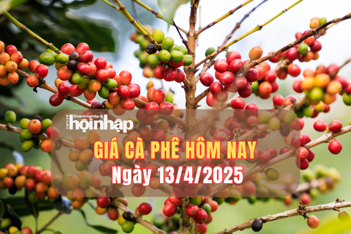 Giá cà phê hôm nay 13/4: Giá cà phê trong nước tăng 2.000 - 2.200 đồng/kg