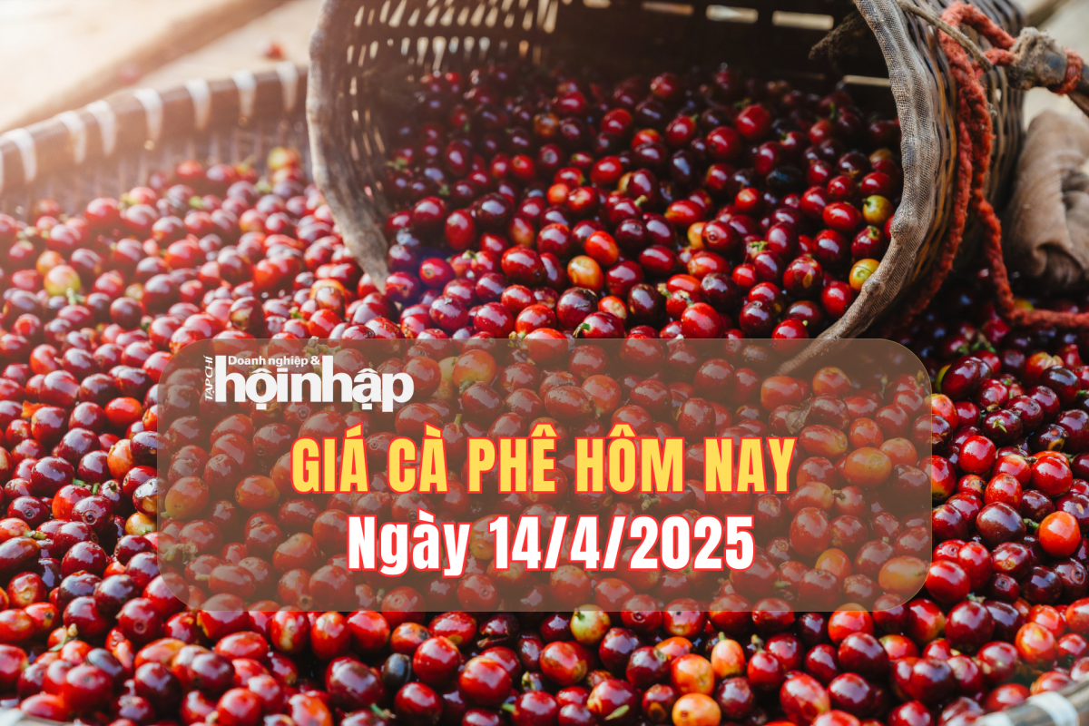 Giá cà phê hôm nay 14/4: Giá cà phê trong nước giảm tuần 2.000 - 2.300 đồng/kg