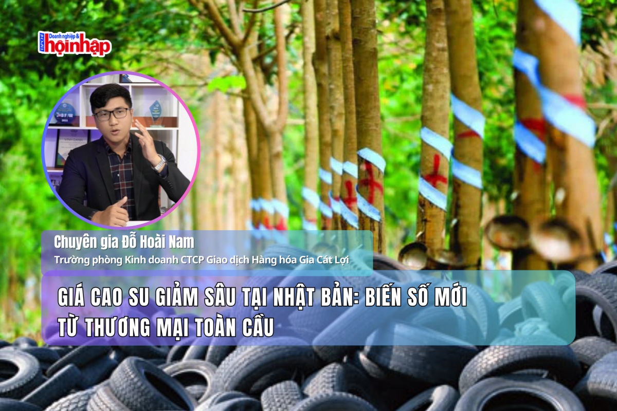 Giá cao su giảm sâu tại Nhật Bản: Biến số mới từ thương mại toàn cầu