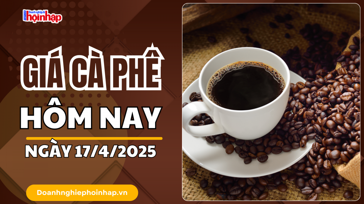 Giá cà phê hôm nay 17/4: Giá cà phê trong nước tăng từ 2.700 - 3.000 đồng/kg