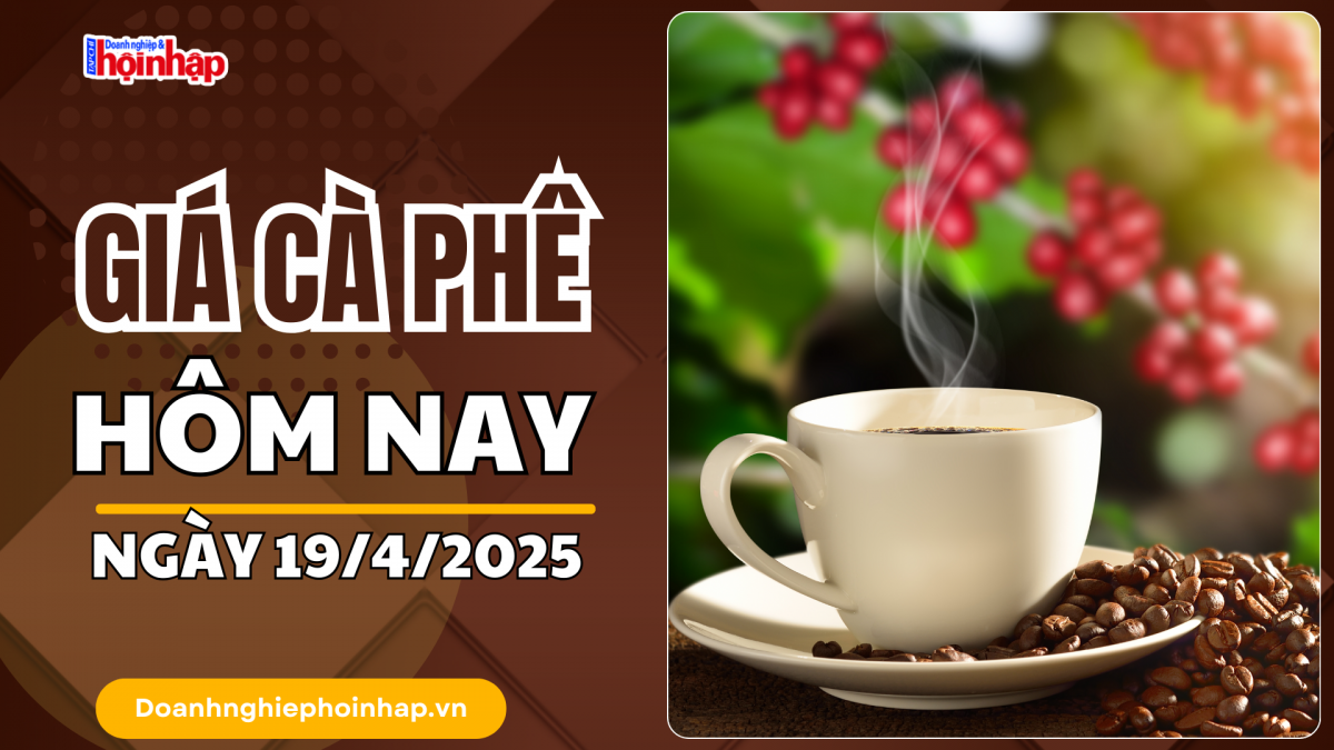 Giá cà phê hôm nay 19/4: Giá cà phê trong nước giảm từ 3.200 - 4.100 đồng/kg