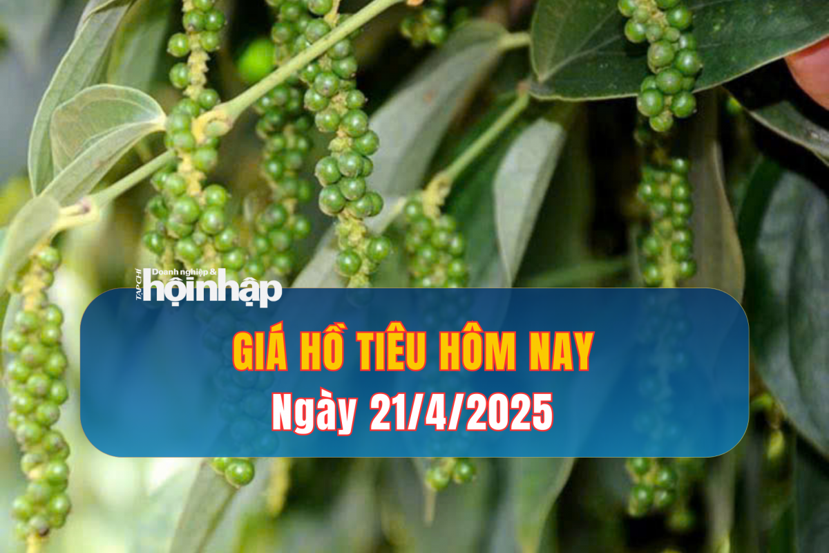 Giá tiêu hôm nay 21/4: Giá tiêu tuần qua tăng - giảm trái chiều