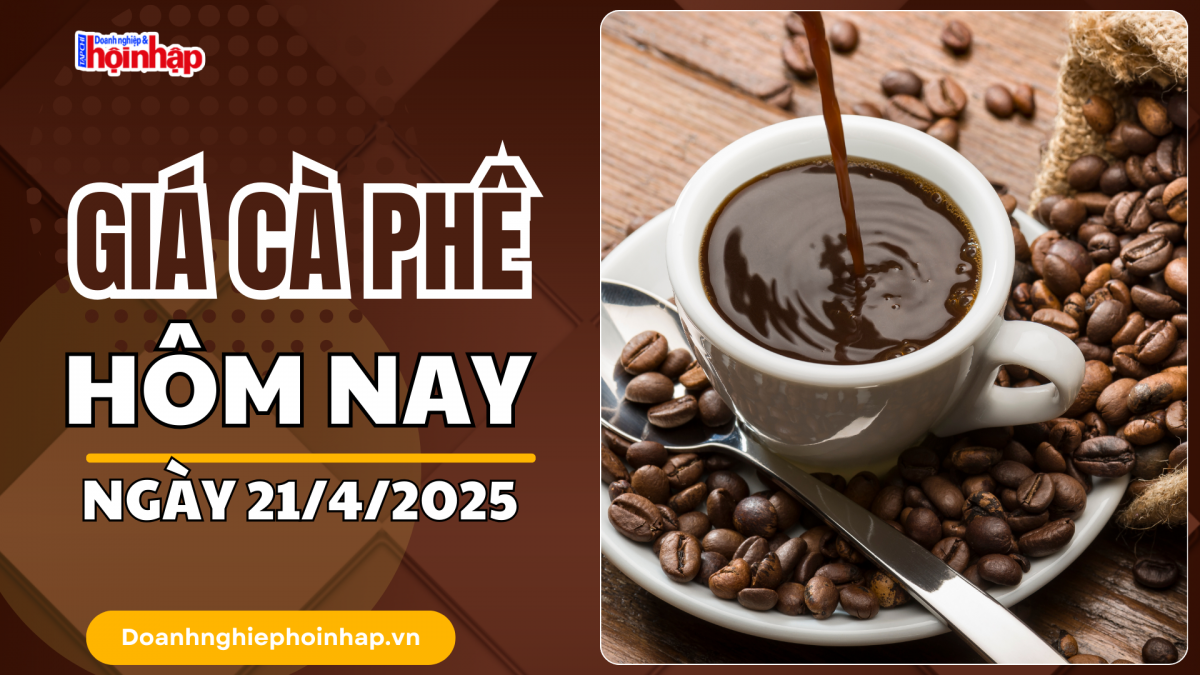 Giá cà phê hôm nay 21/4: Giá cà phê tuần qua tăng 4.500 - 5.300 đồng/kg