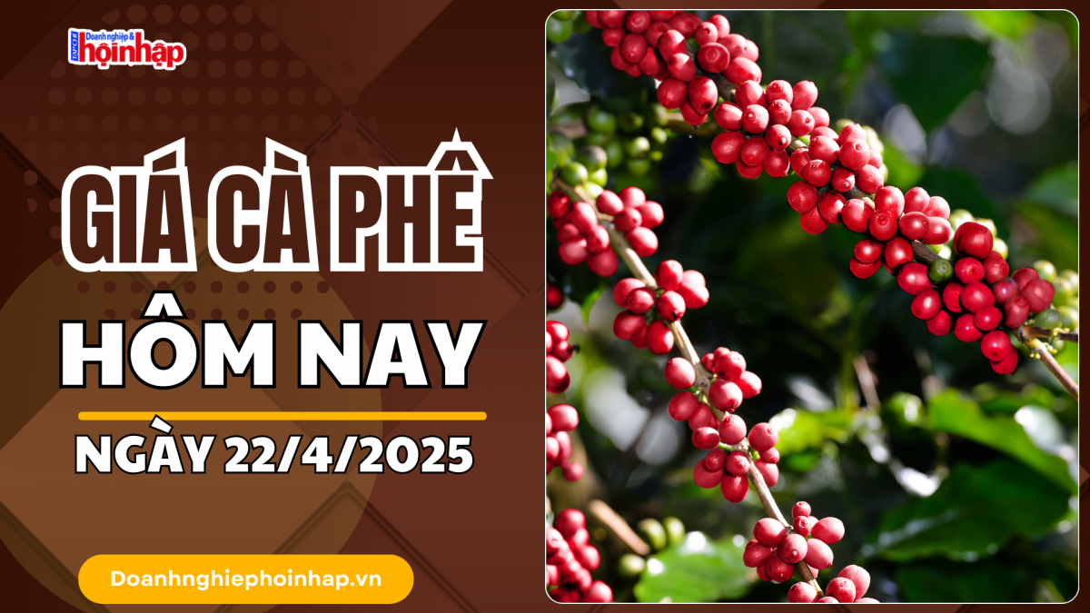 Giá cà phê hôm nay 22/4: Giá cà phê trong nước dao động trong khoảng 129.000 - 129.700 đồng/kg