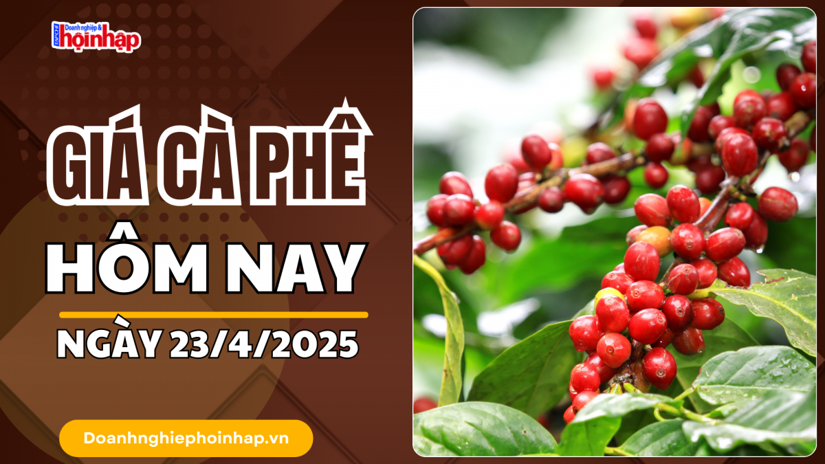 Giá cà phê hôm nay 23/4: Giá cà phê trong nước giảm 200 đồng/kg
