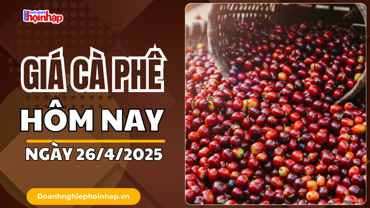 Giá cà phê hôm nay 26/4: Giá cà phê trong nước tăng từ 1.500 - 1.700 đồng/kg