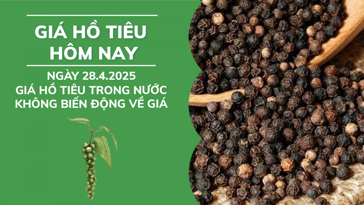 Giá tiêu hôm nay 28/4: Giá tiêu trong nước không có biến động về giá