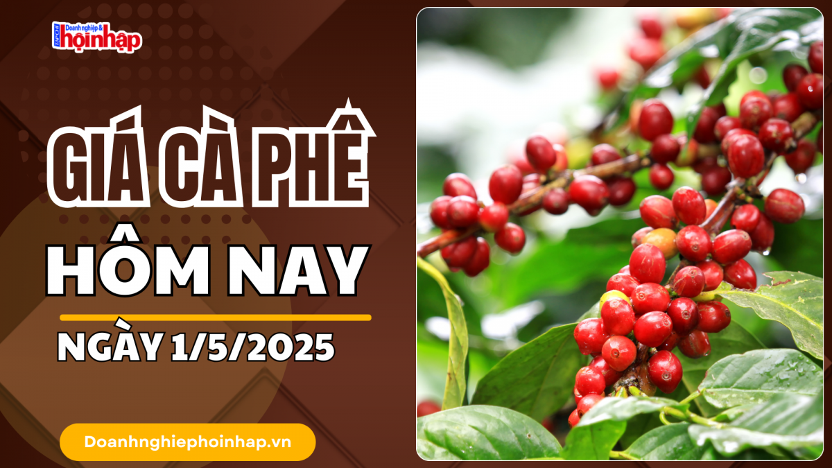 Giá cà phê hôm nay 1/5: Giá cà phê trong nước giao dịch từ 130.200 - 130.800 đồng/kg
