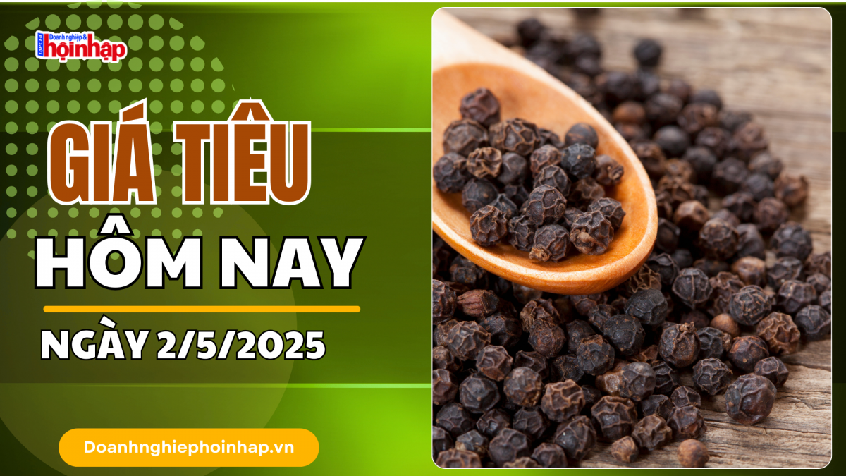 Giá tiêu hôm nay 2/5: Giá tiêu trong nước neo cao ở mức 156.000 đồng/kg