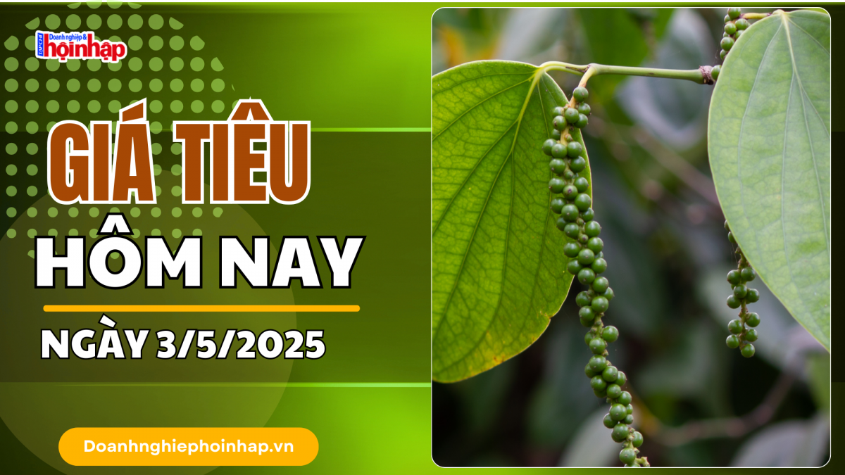 Giá tiêu hôm nay 3/5: Giá tiêu trong nước đi ngang, thế giới tăng nhẹ