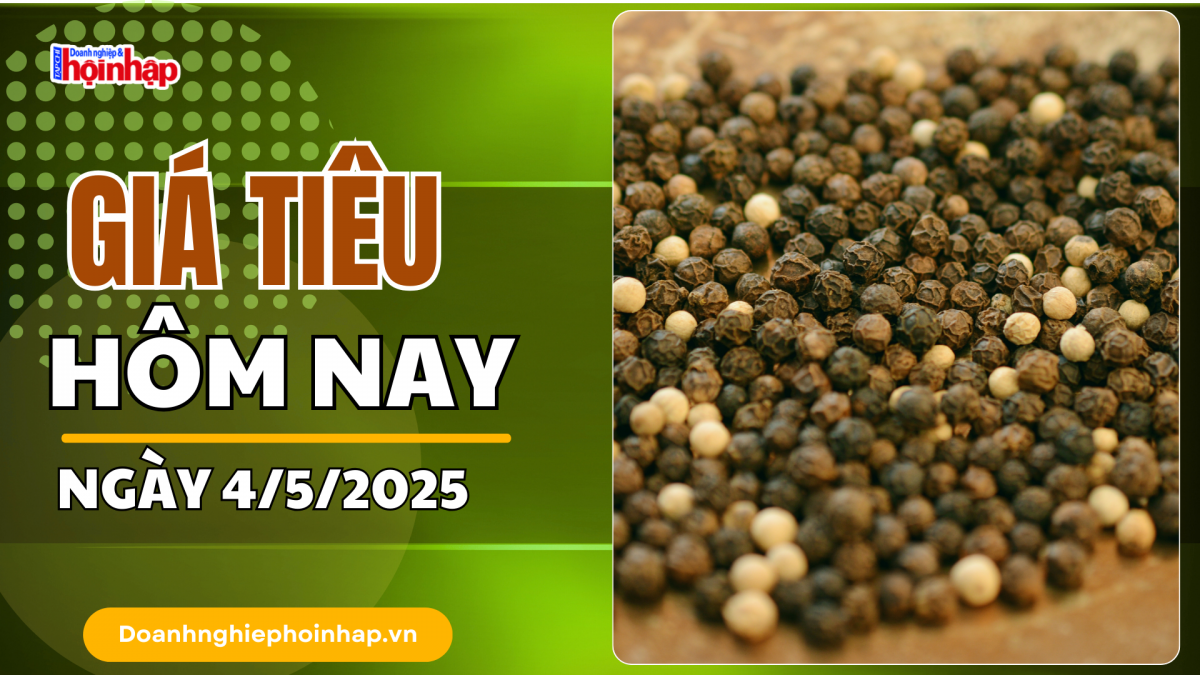 Giá tiêu hôm nay 4/5: Giá tiêu trong nước neo cao ở mức 154.000 - 156.000 đồng/kg