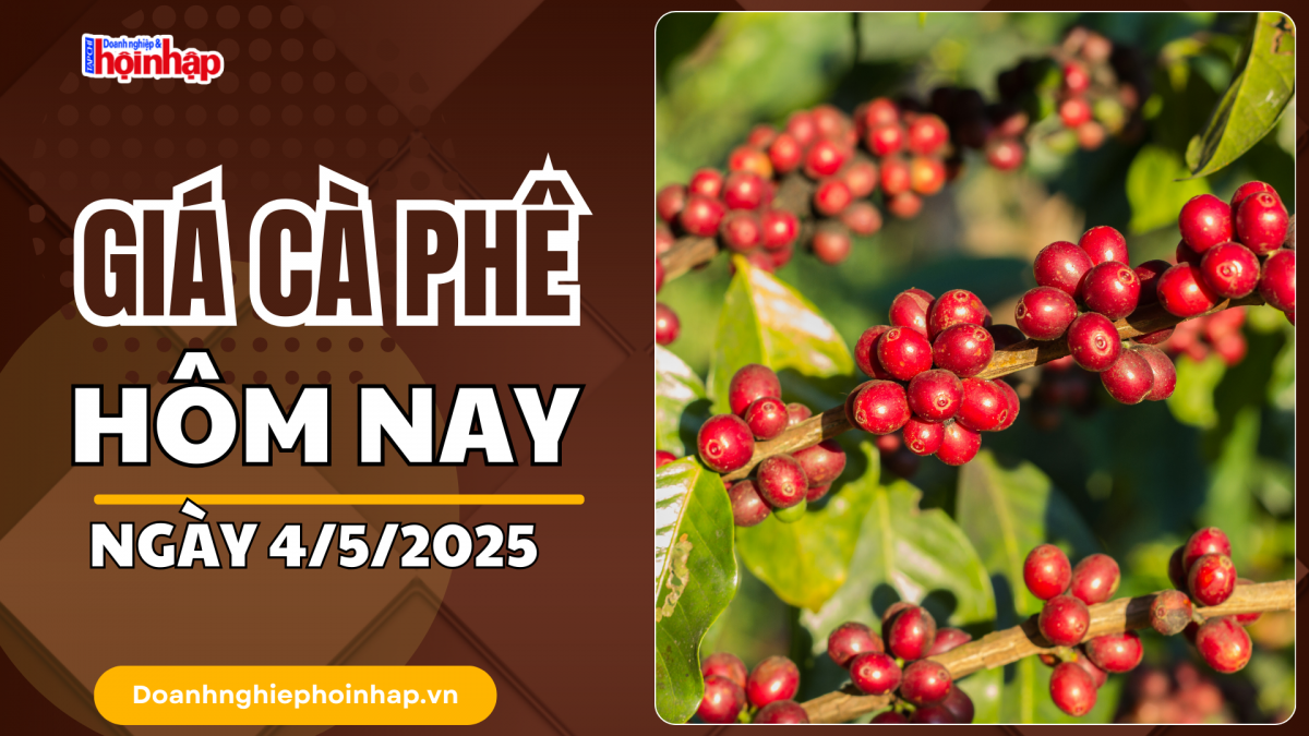 Giá cà phê hôm nay 4/5: Giá cà phê trong nước tăng 2.400 - 2.800 đồng/kg