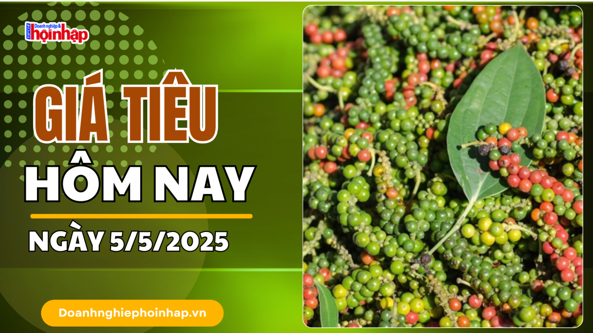 Giá tiêu hôm nay 5/5: Giá tiêu trong nước và thế giới "neo" ở mức cao