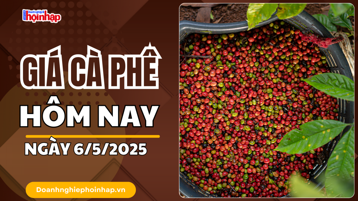 Giá cà phê hôm nay 6/5: Giá cà phê trong nước giảm 800 - 1.500 đồng/kg