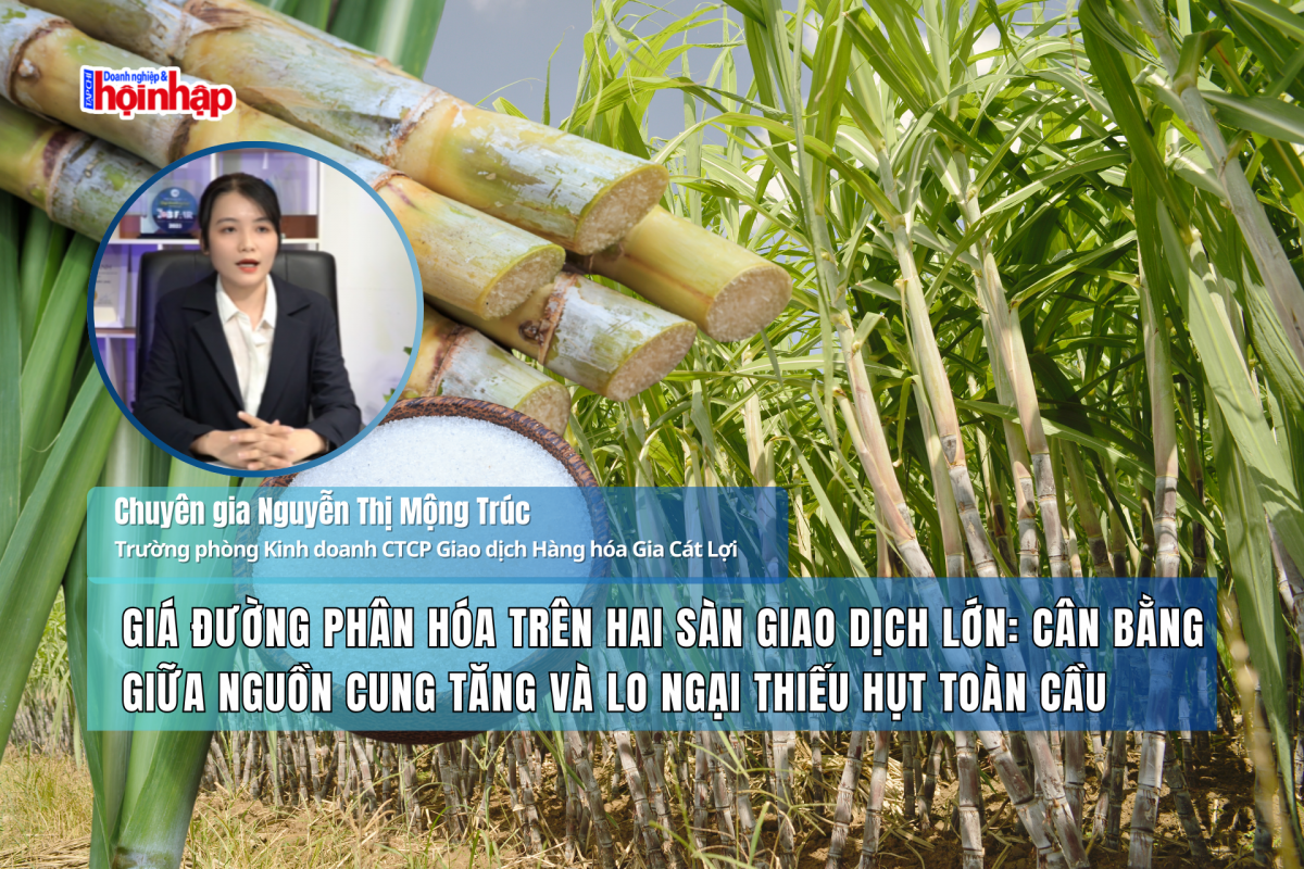 Giá đường phân hóa trên hai sàn giao dịch lớn: Cân bằng giữa nguồn cung tăng và lo ngại thiếu hụt toàn cầu