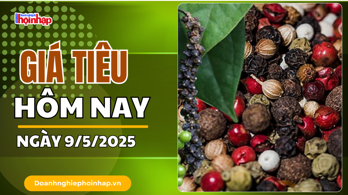 Giá tiêu hôm nay 9/5: Giá tiêu trong nước neo cao