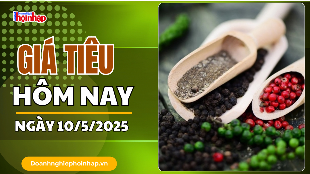 Giá tiêu hôm nay 10/5: Thị trường trong nước ở mức cao 155.000 đồng/kg