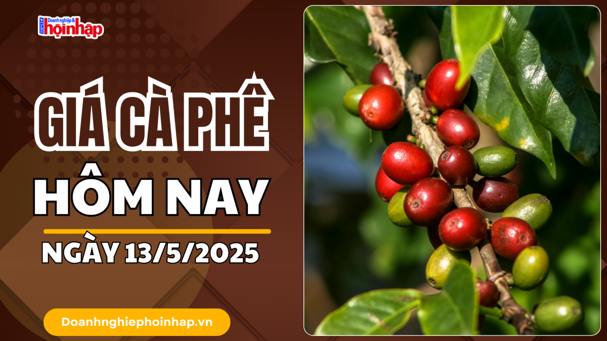 Giá cà phê hôm nay 13/5: Cà phê trong nước giảm 400 - 500 đồng/kg