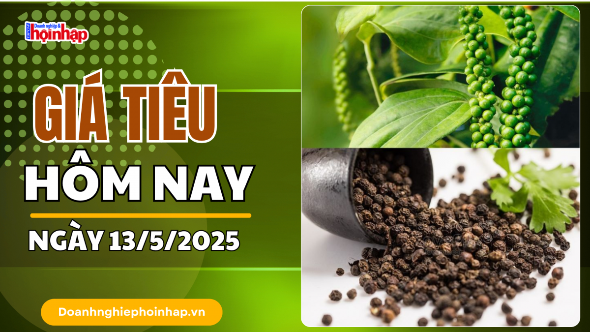 Giá tiêu hôm nay 13/5: Thị trường hồ tiêu trong nước "neo" cao
