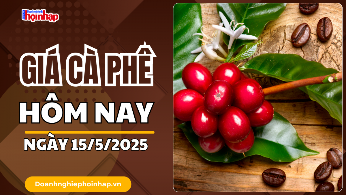 Giá cà phê hôm nay 15/5: Giá cà phê trong nước bật tăng 2.400 - 2.500 đồng/kg