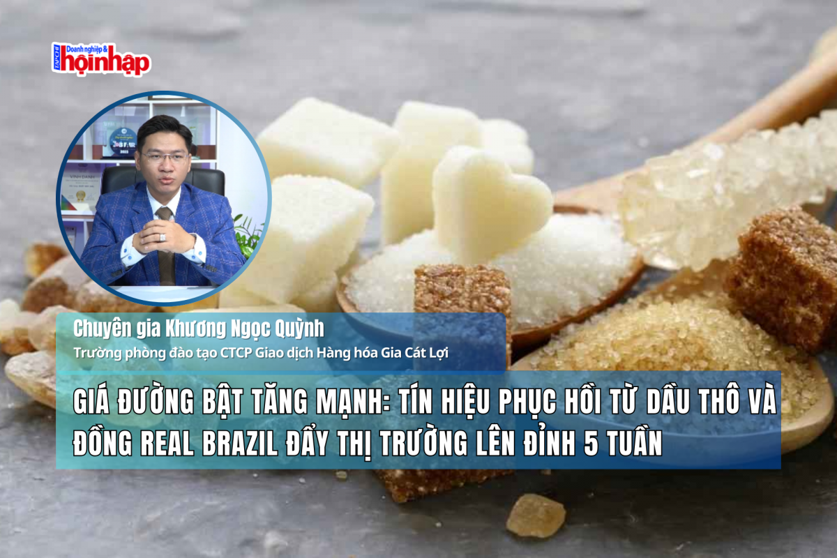 Giá đường bật tăng mạnh: Tín hiệu phục hồi từ dầu thô và đồng Real Brazil đẩy thị trường lên đỉnh 5 tuần