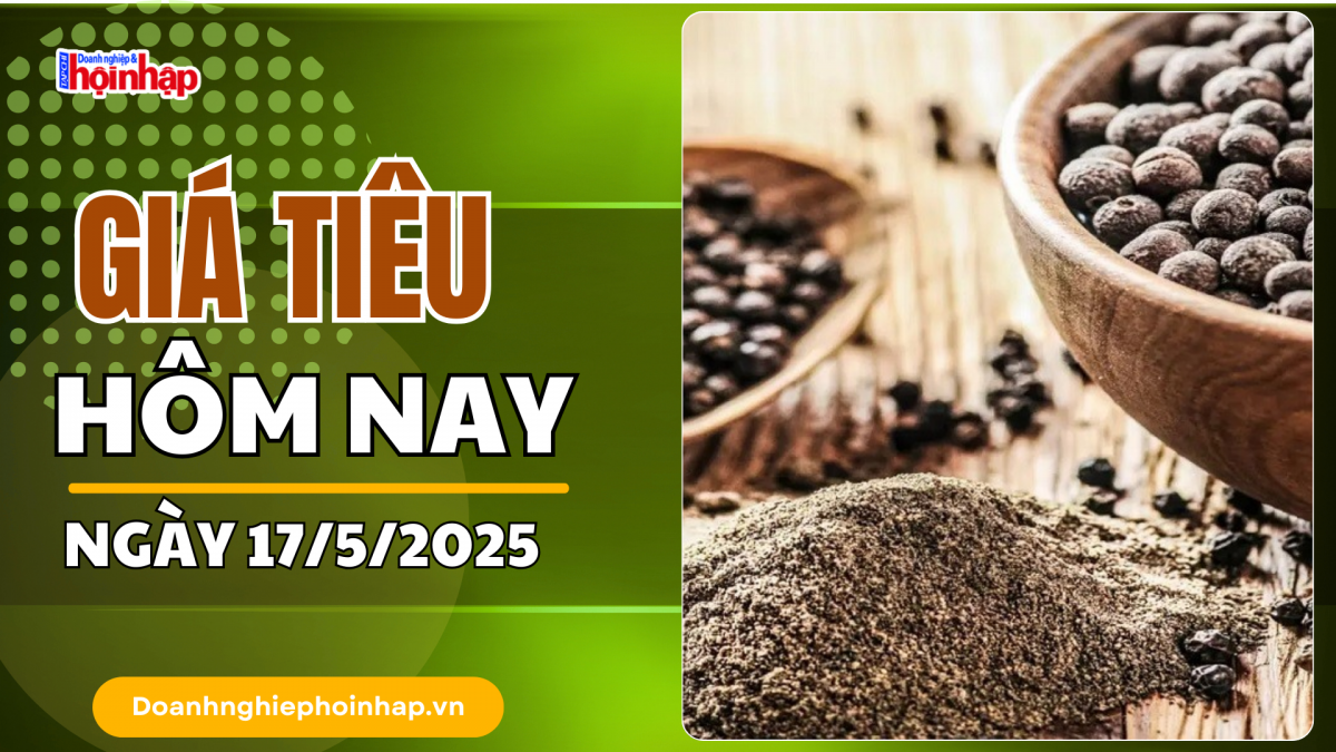 Giá tiêu hôm nay 17/5: Thị trường tiêu trong nước tăng 1.000 đồng/kg