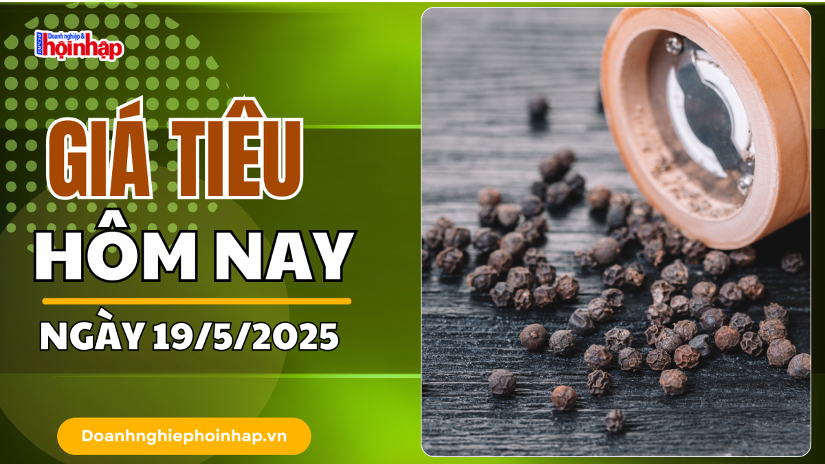 Giá tiêu hôm nay 19/5: Tiêu trong nước cao nhất 153.000 đồng/kg
