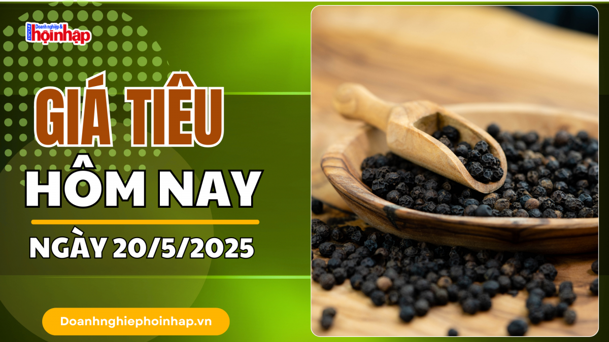 Giá tiêu hôm nay 20/5: Giảm nhẹ tại Gia Lai, đi ngang ở các địa phương khác