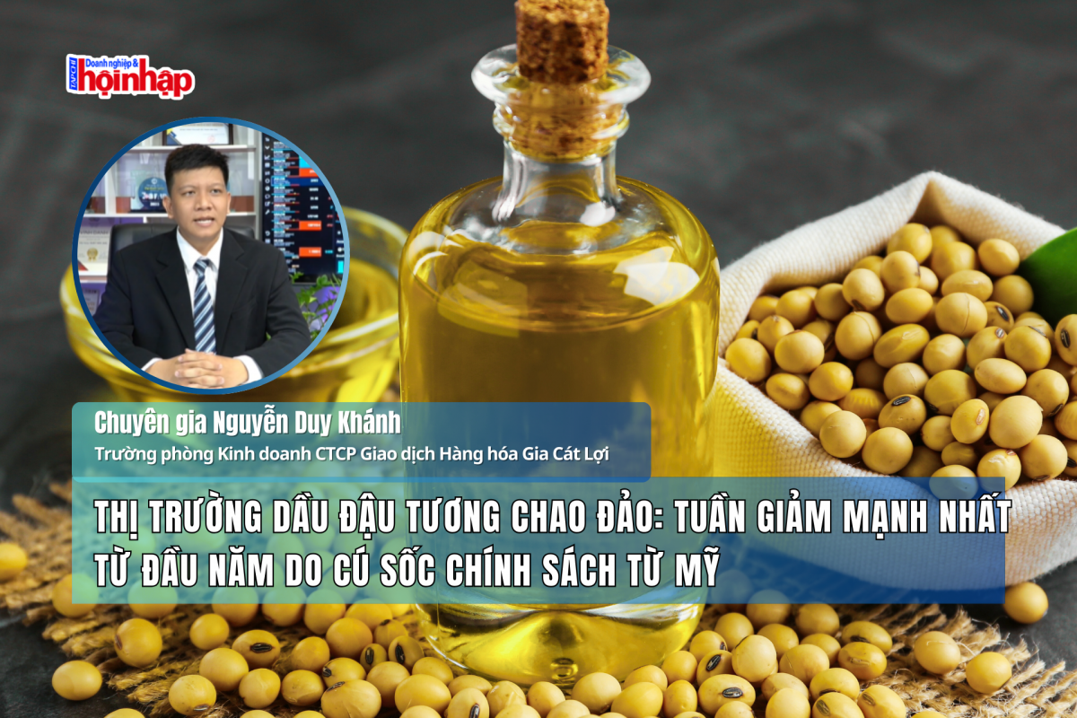 Thị trường dầu đậu tương chao đảo: Tuần giảm mạnh nhất từ đầu năm do cú sốc chính sách từ Mỹ