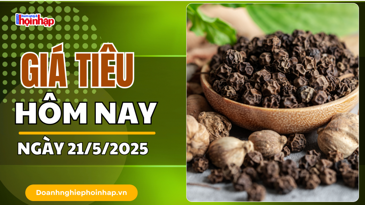 Giá tiêu hôm nay 21/5: Tiêu trong nước cao nhất trên 153.000 đồng/kg