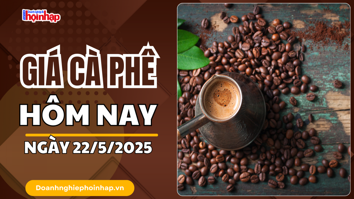 Giá cà phê hôm nay 22/5: Cà phê trong nước giảm 1.500 đồng/kg
