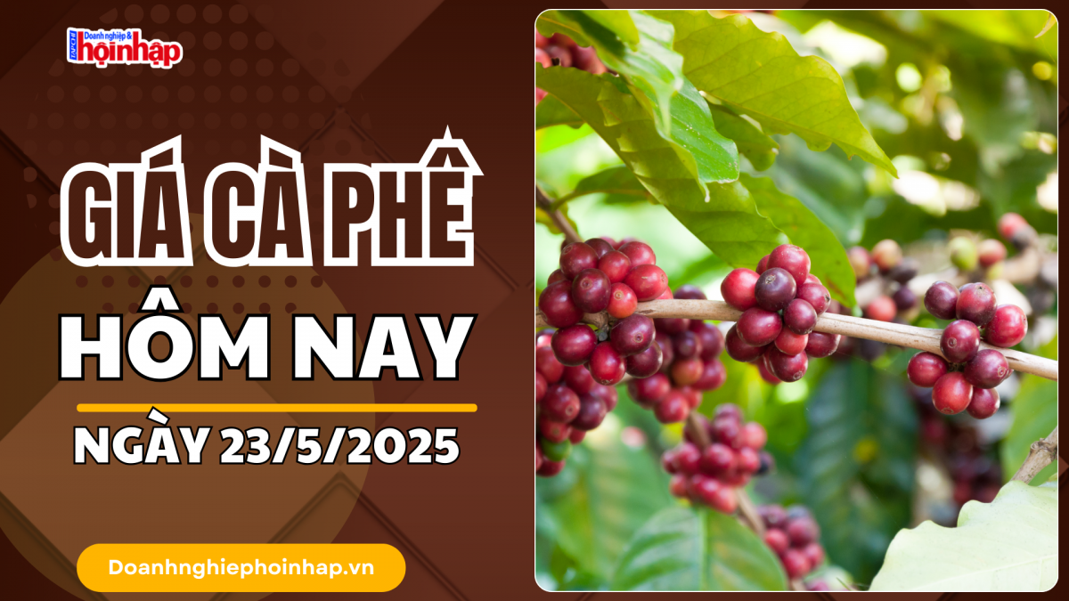 Giá cà phê hôm nay 23/5/2025: Giá cà phê trong nước bật tăng 200 đồng/kg
